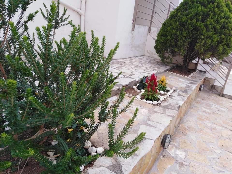Treasures B&B Paloukia Buitenkant foto