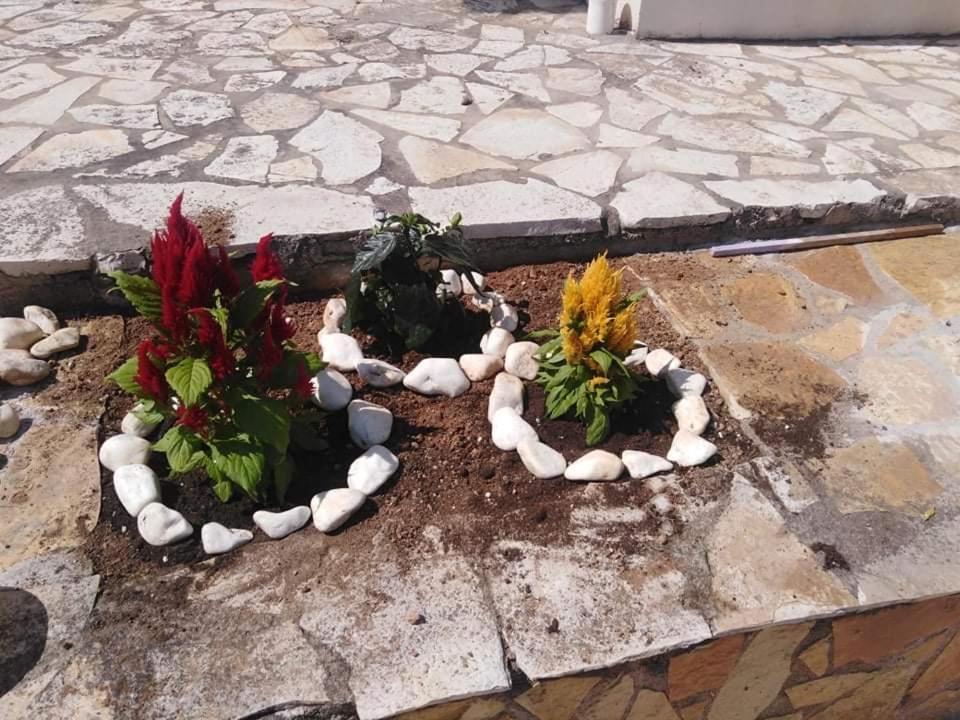 Treasures B&B Paloukia Buitenkant foto